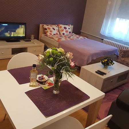Sara - Modern Apartment In The City Center نوفي ساد المظهر الخارجي الصورة