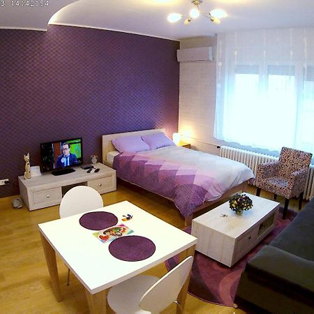 Sara - Modern Apartment In The City Center نوفي ساد المظهر الخارجي الصورة