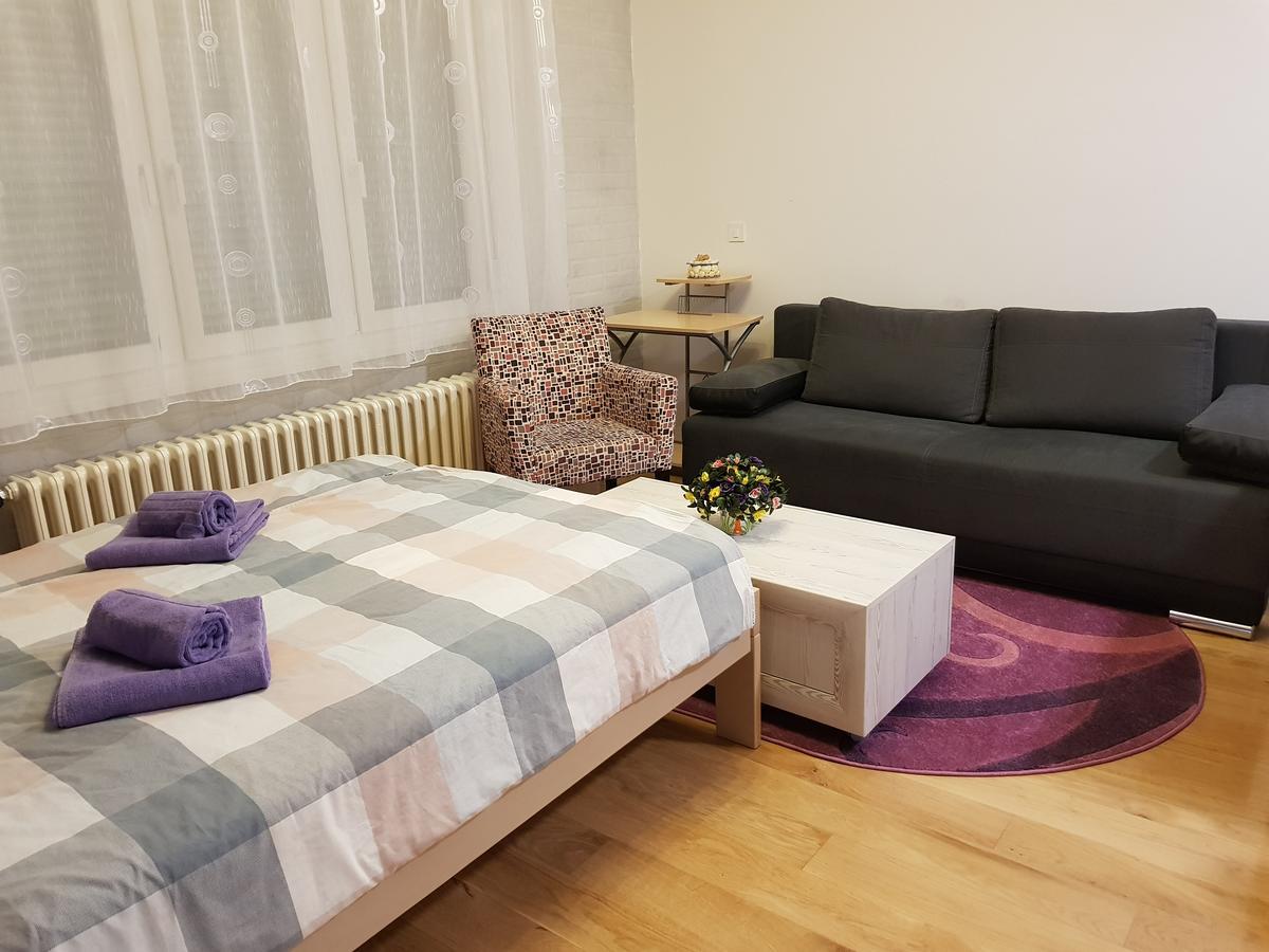 Sara - Modern Apartment In The City Center نوفي ساد المظهر الخارجي الصورة