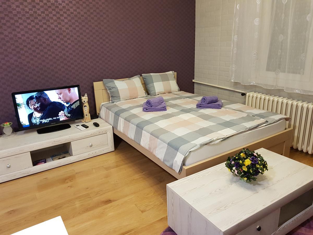 Sara - Modern Apartment In The City Center نوفي ساد المظهر الخارجي الصورة