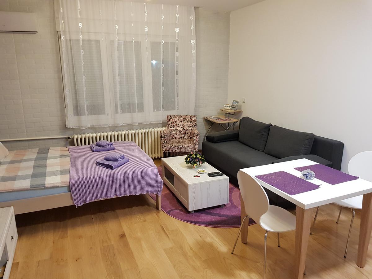 Sara - Modern Apartment In The City Center نوفي ساد المظهر الخارجي الصورة