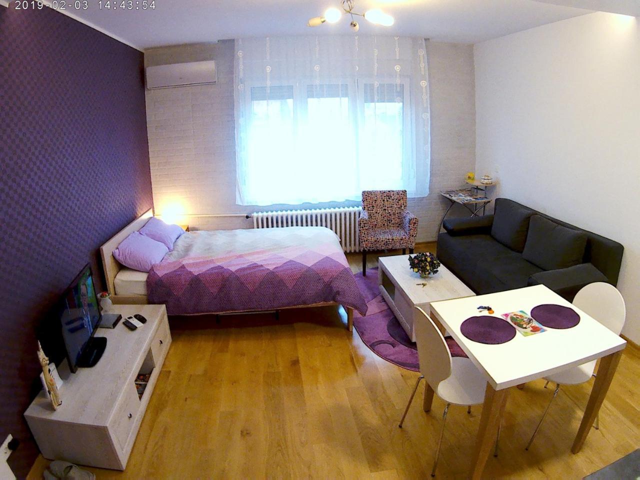 Sara - Modern Apartment In The City Center نوفي ساد المظهر الخارجي الصورة